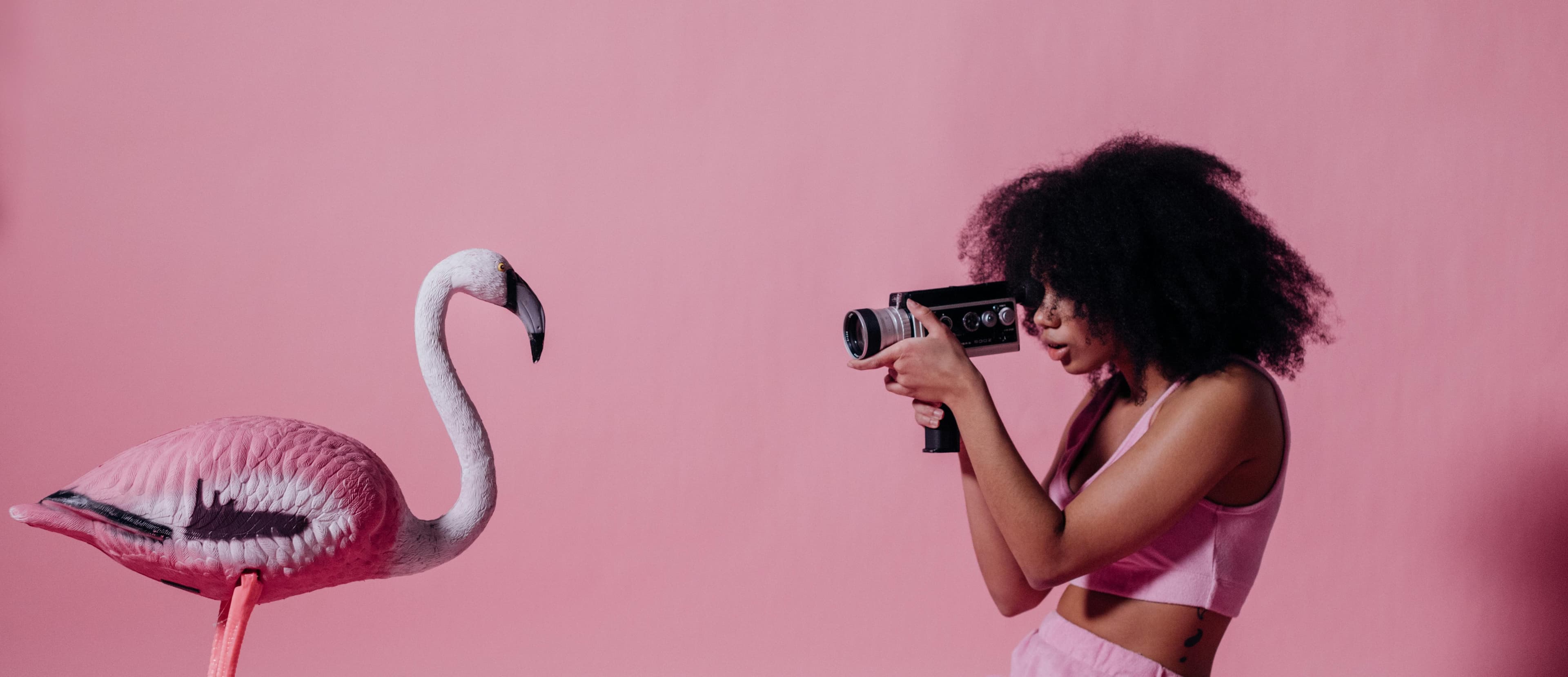 Photoshoots & Production