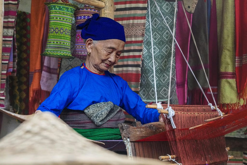 Export Houses & Manufacturers